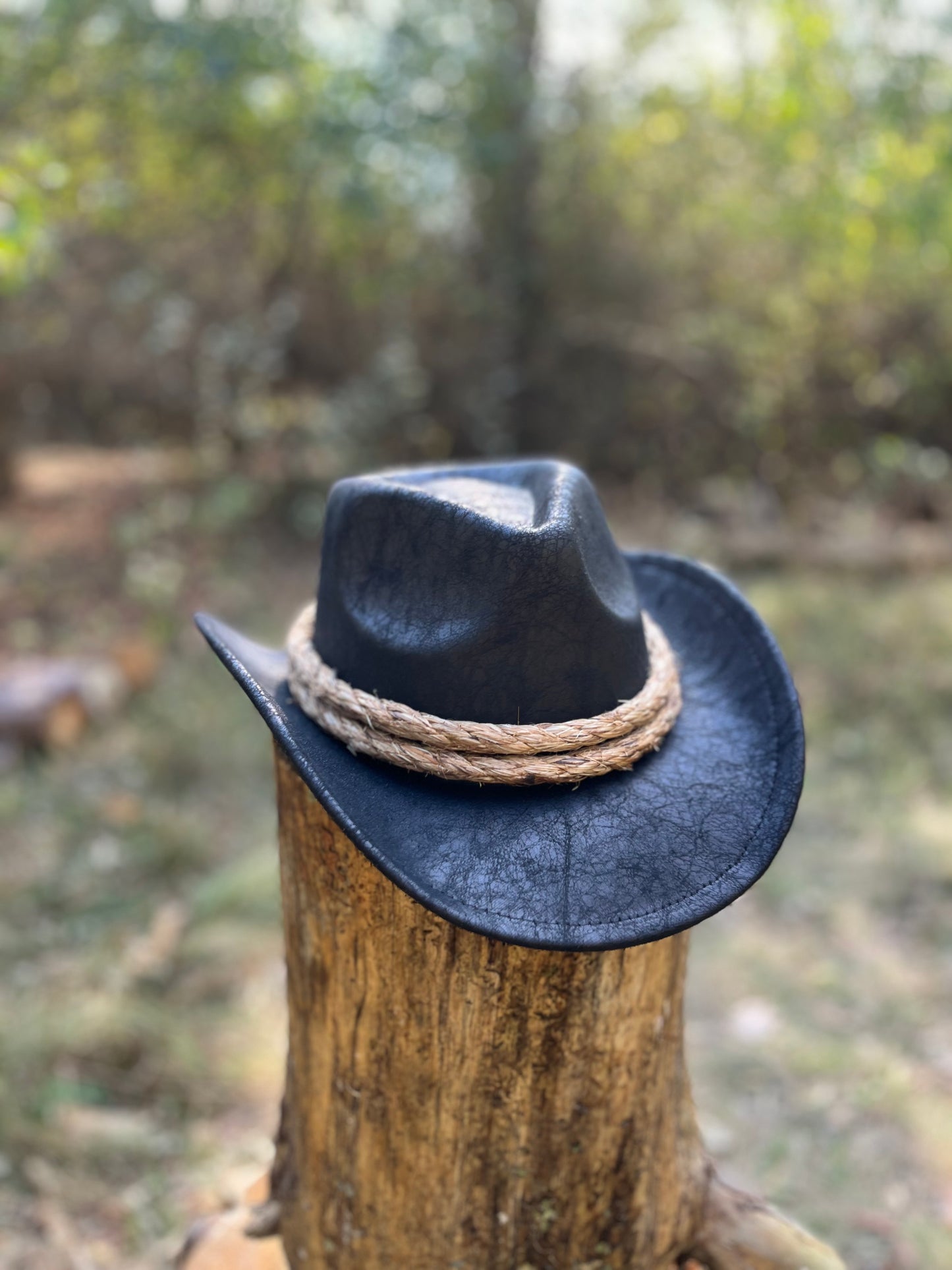 Western Gambler's Hat