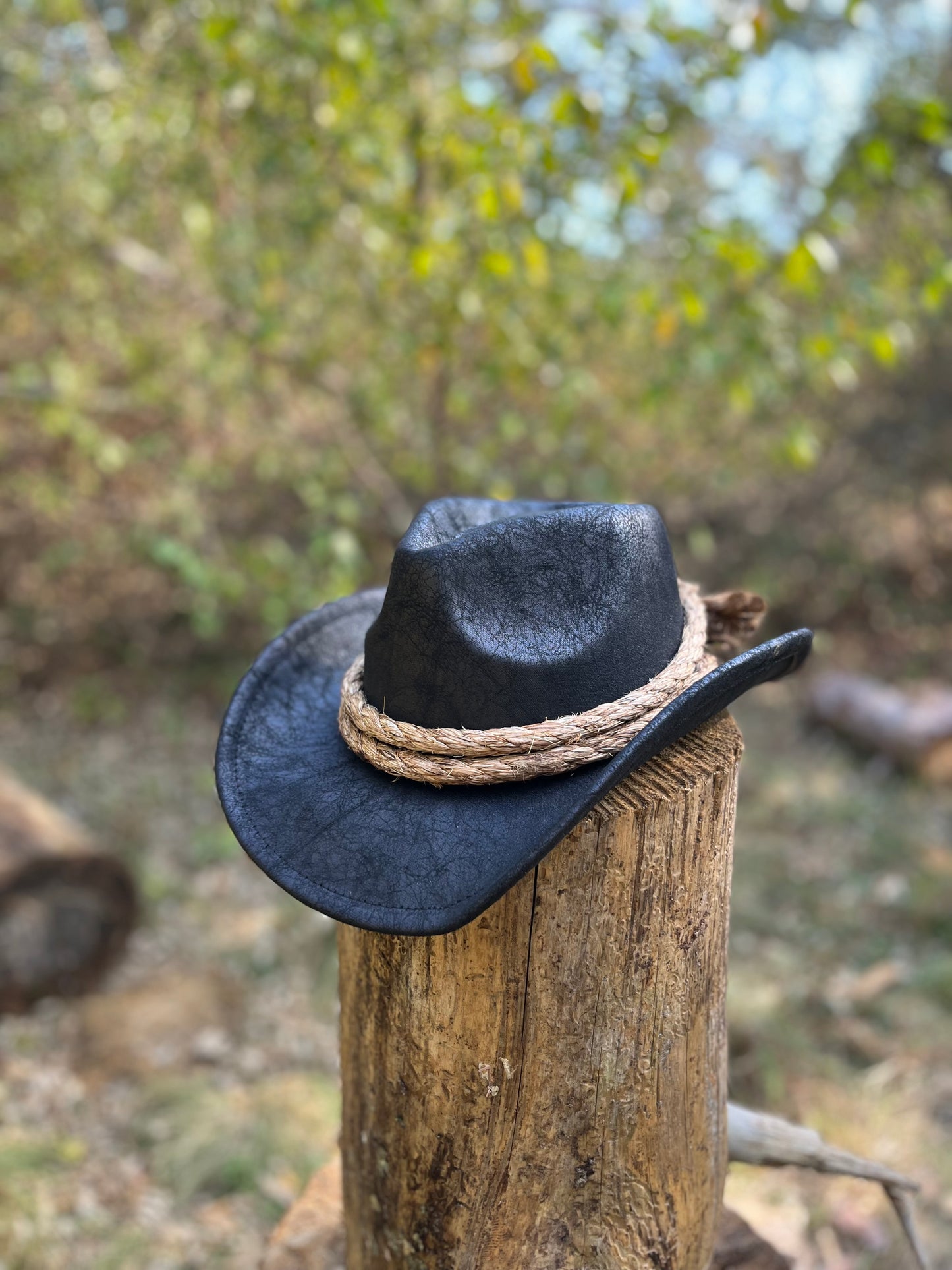 Western Gambler's Hat