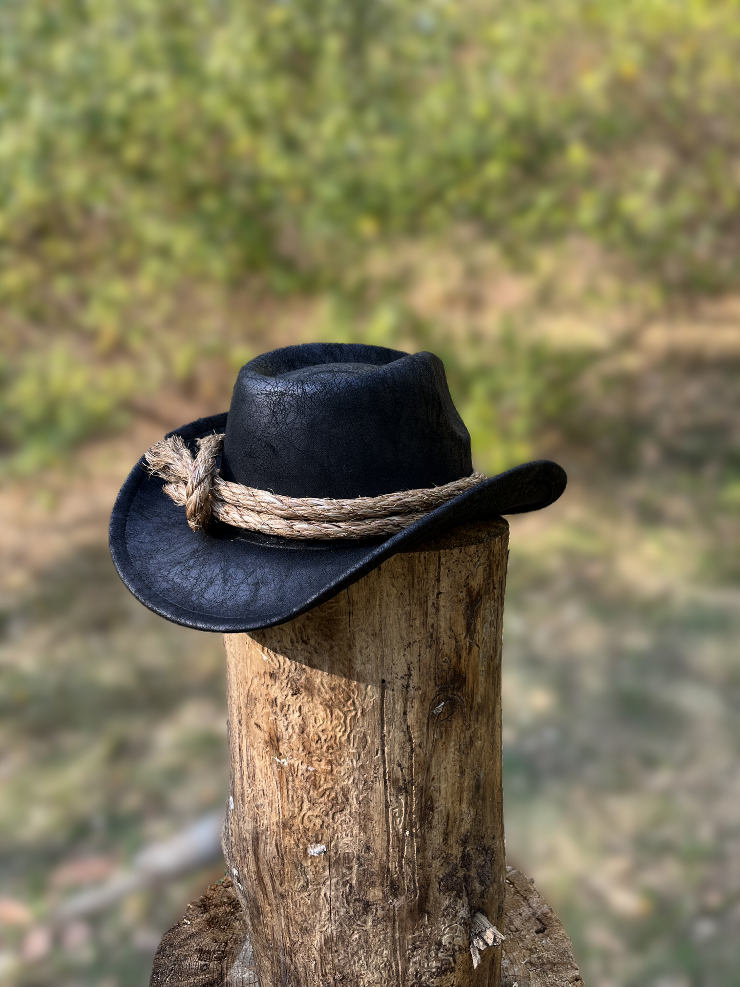 Western Gambler's Hat